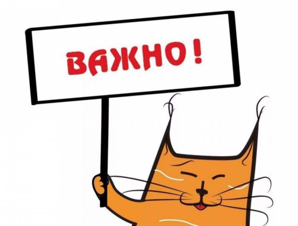 Важная информация о скачках онлайна - КОГДА ЖЕ ПОЧИНИТЕ?